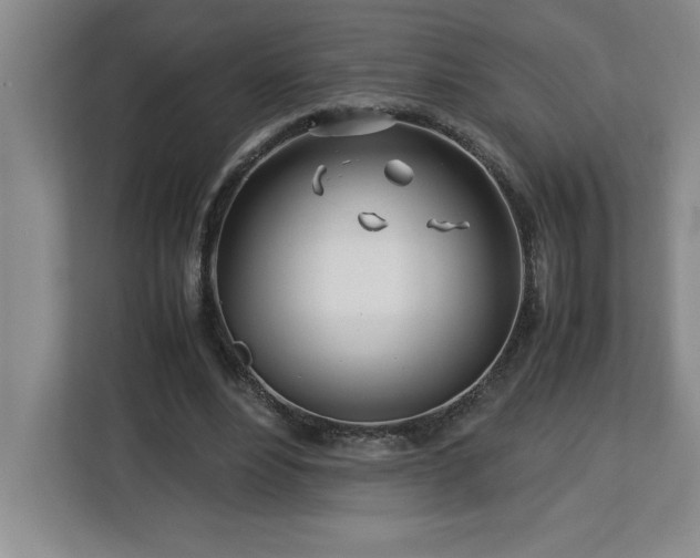 X0000113090488200908281246