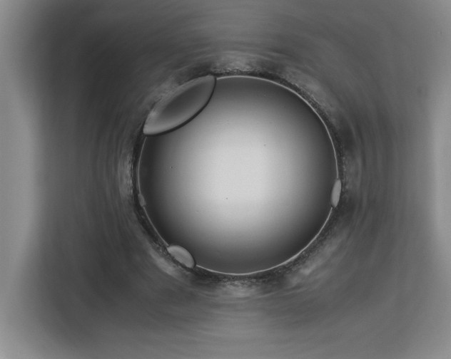 X0000113090489200908281246