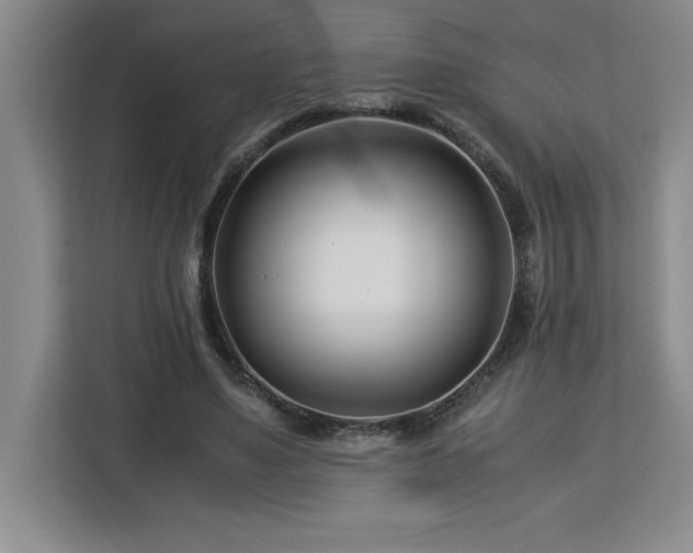 X0000113090491200908281246
