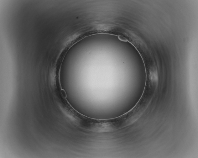 X0000113090492200908281246