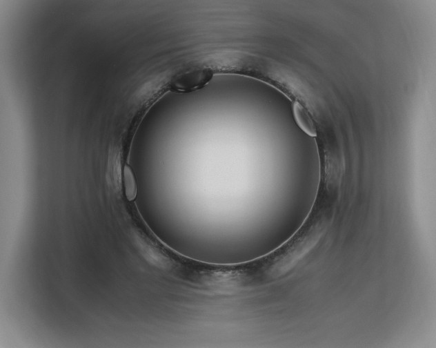 X0000113090493200908281246