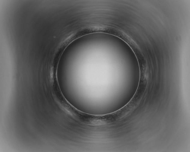 X0000113090494200908281246