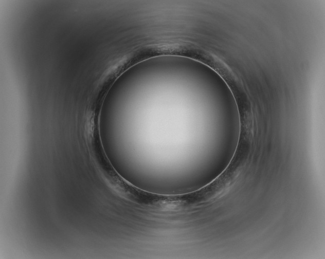 X0000113090495200908281246