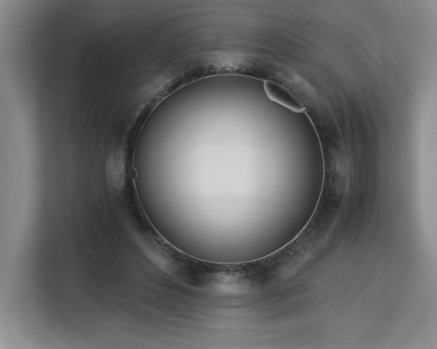 X0000113090496200908281246
