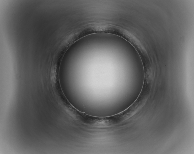 X0000113090497200908281246