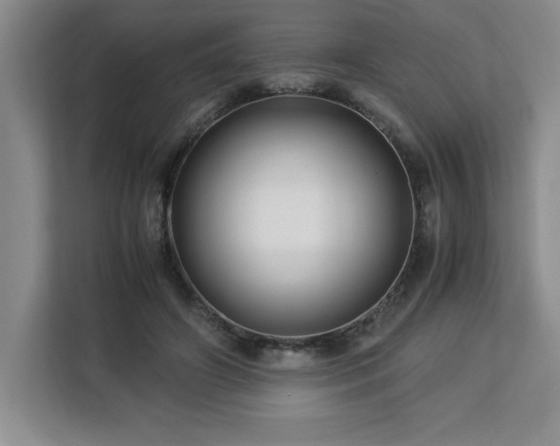 X0000113090498200908281246