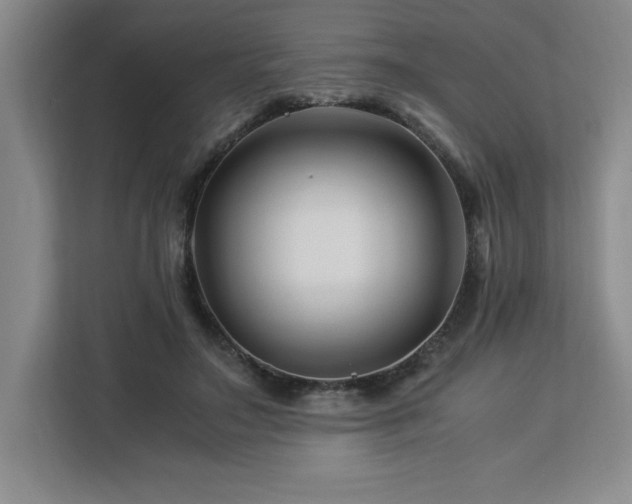 X0000113090499200908281246