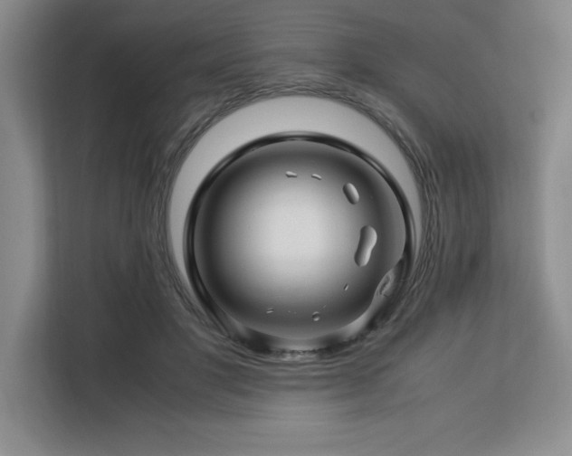 X0000113090501200908281246