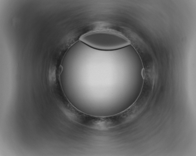 X0000113090504200908281246