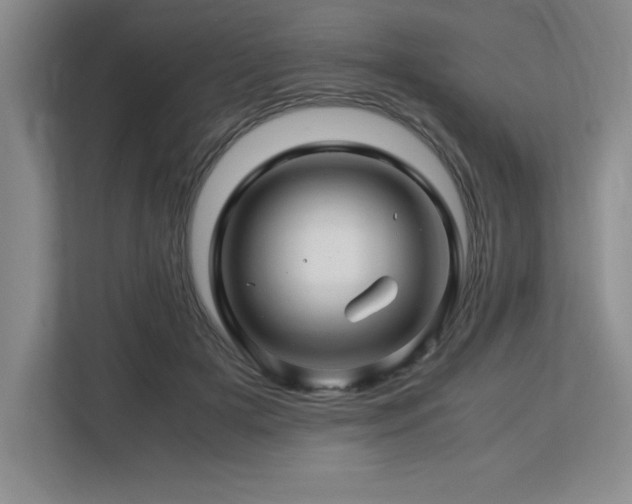 X0000113090505200908281246