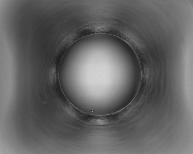 X0000113090506200908281246