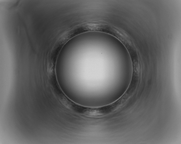 X0000113090507200908281246