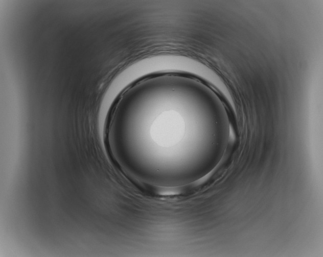 X0000113090508200908281246