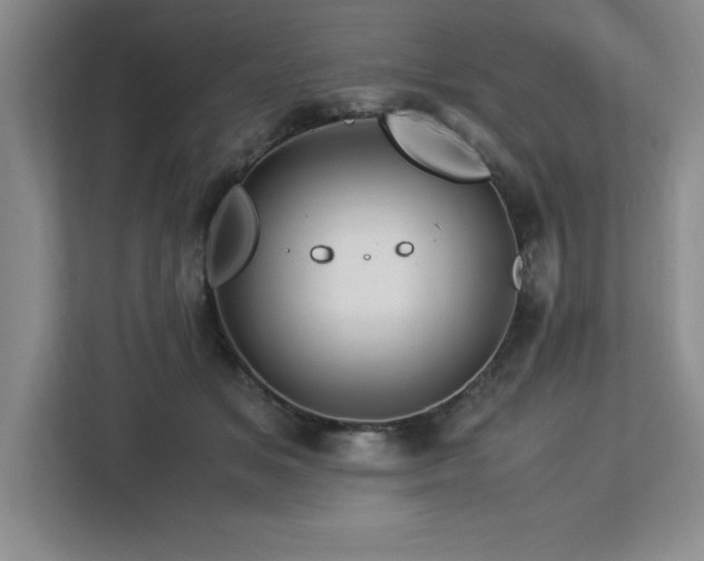 X0000113090509200908281246