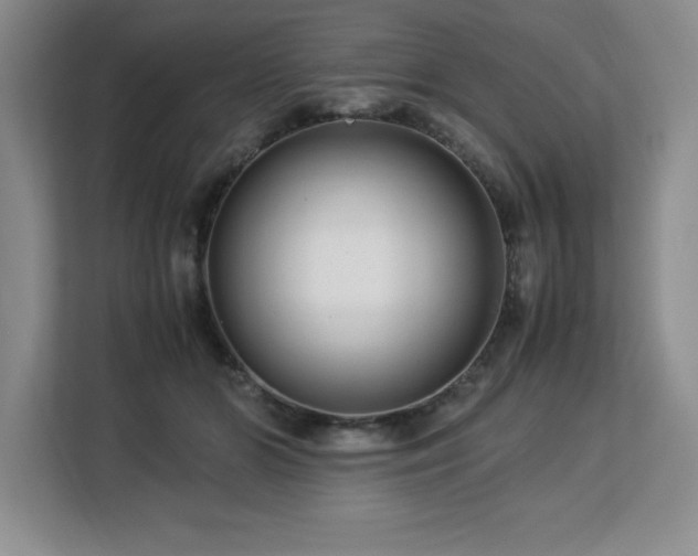 X0000113090510200908281246