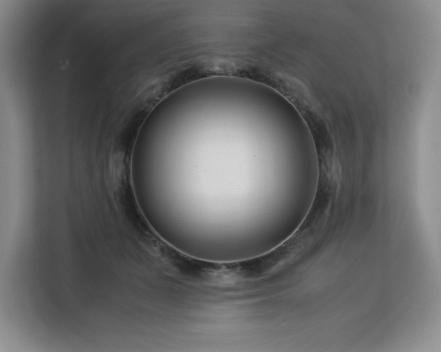 X0000113090511200908281246