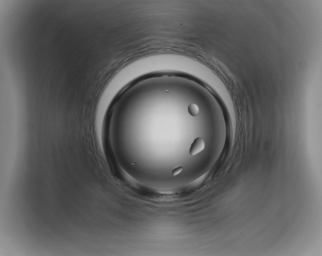 X0000113090513200908281246