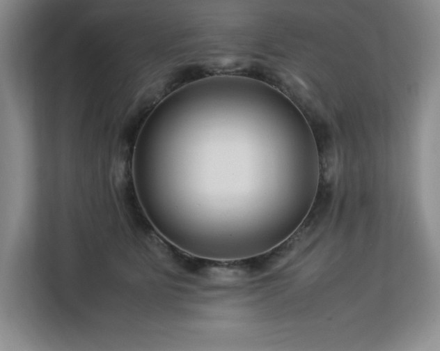 X0000113090515200908281246