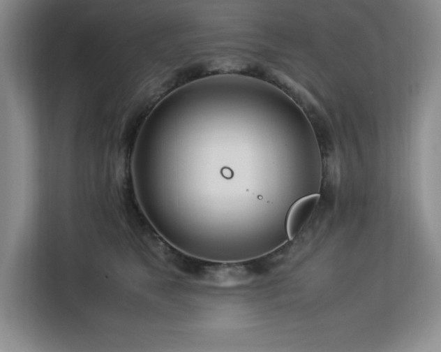 X0000113090517200908281246
