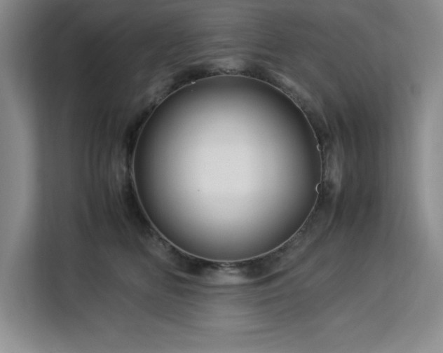X0000113090518200908281246