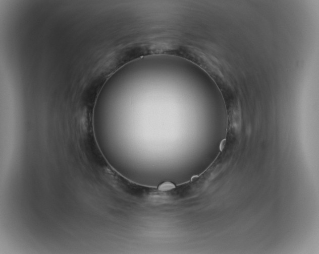 X0000113090519200908281246