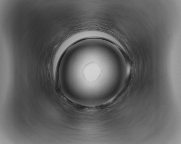 X0000113090520200908281246