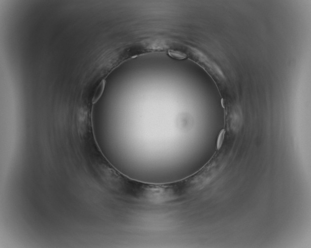 X0000113090521200908281246