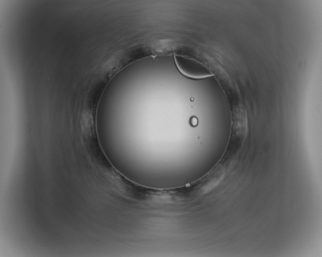 X0000113090523200908281246