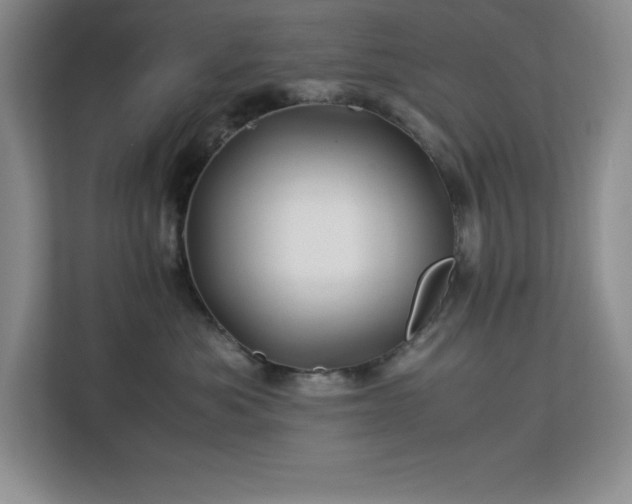X0000113090525200908281246