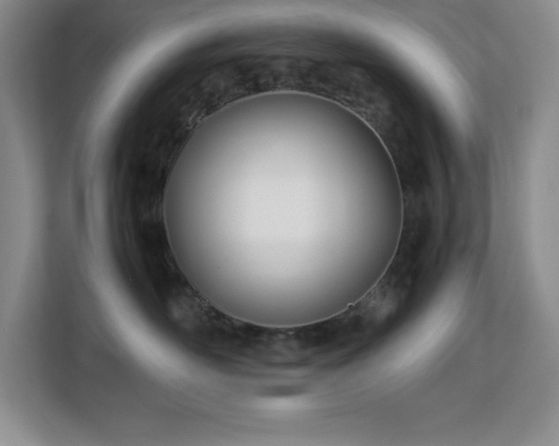 X0000113090526200908281246