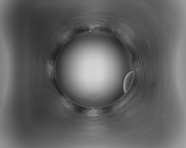 X0000113090527200908281246