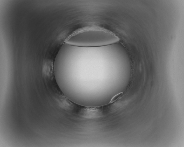 X0000113090528200908281246
