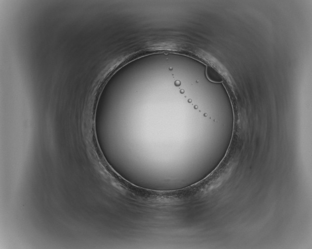 X0000113090529200908281245