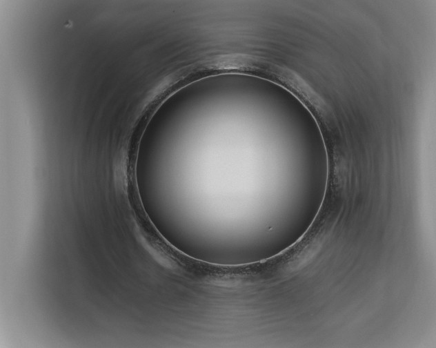 X0000113090530200908281245