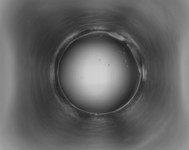 X0000113090531200908281245