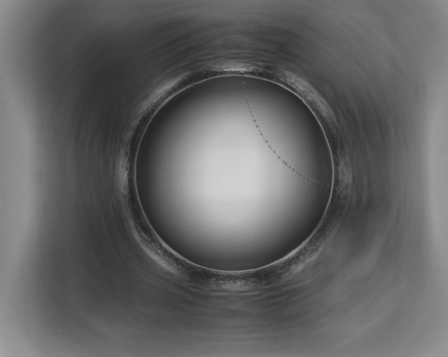 X0000113090533200908281245