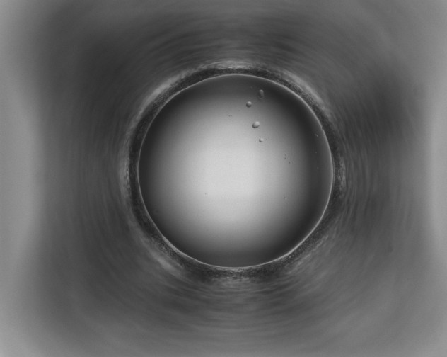 X0000113090535200908281245