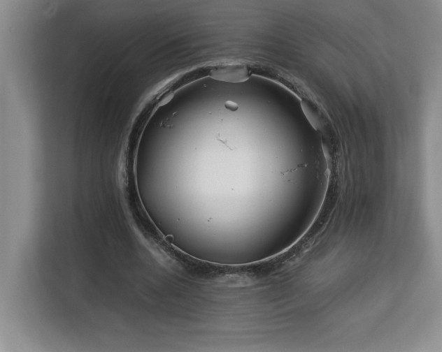 X0000113090536200908281245