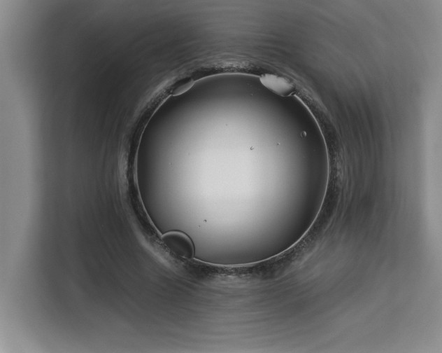 X0000113090538200908281245