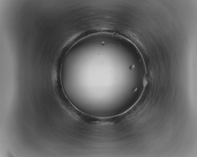 X0000113090539200908281245