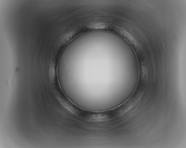 X0000113090541200908281245