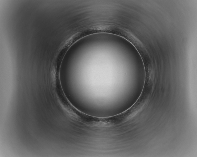 X0000113090542200908281245