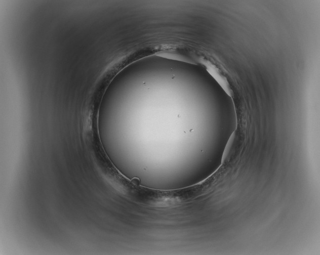 X0000113090543200908281245