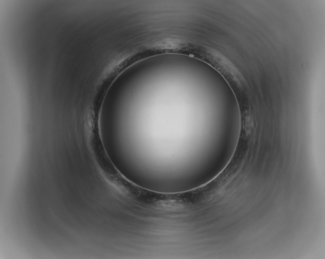 X0000113090544200908281245