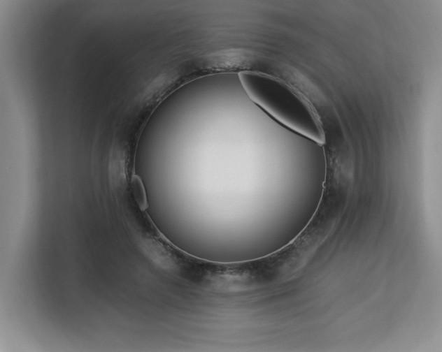 X0000113090546200908281245