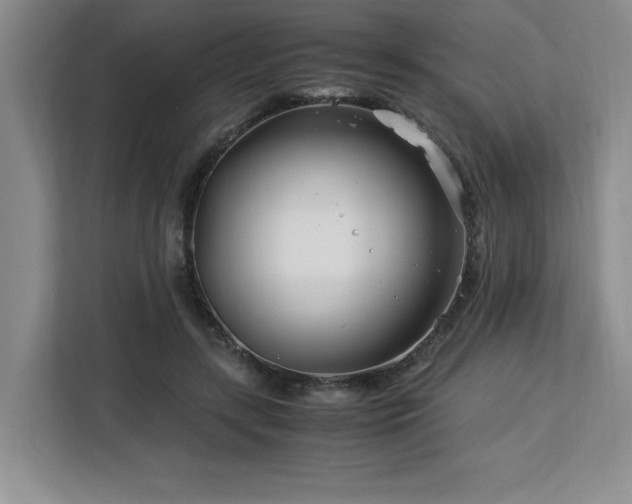 X0000113090547200908281245