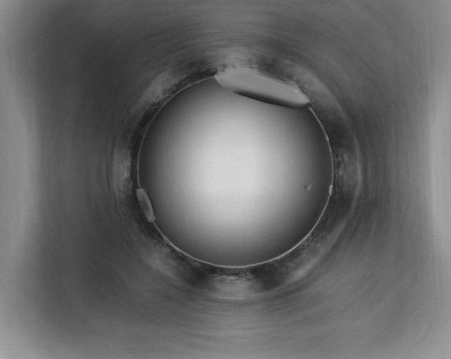 X0000113090548200908281245