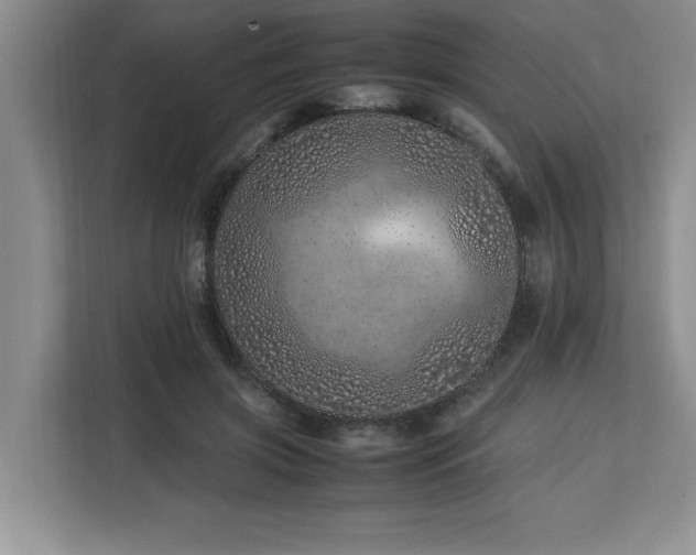 X0000113090549200908281245