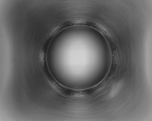 X0000113090550200908281245