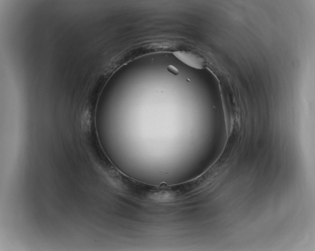 X0000113090551200908281245